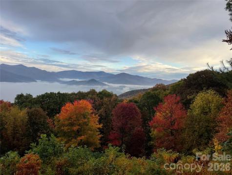 126 Wildflower Cove Drive Swannanoa NC 28778