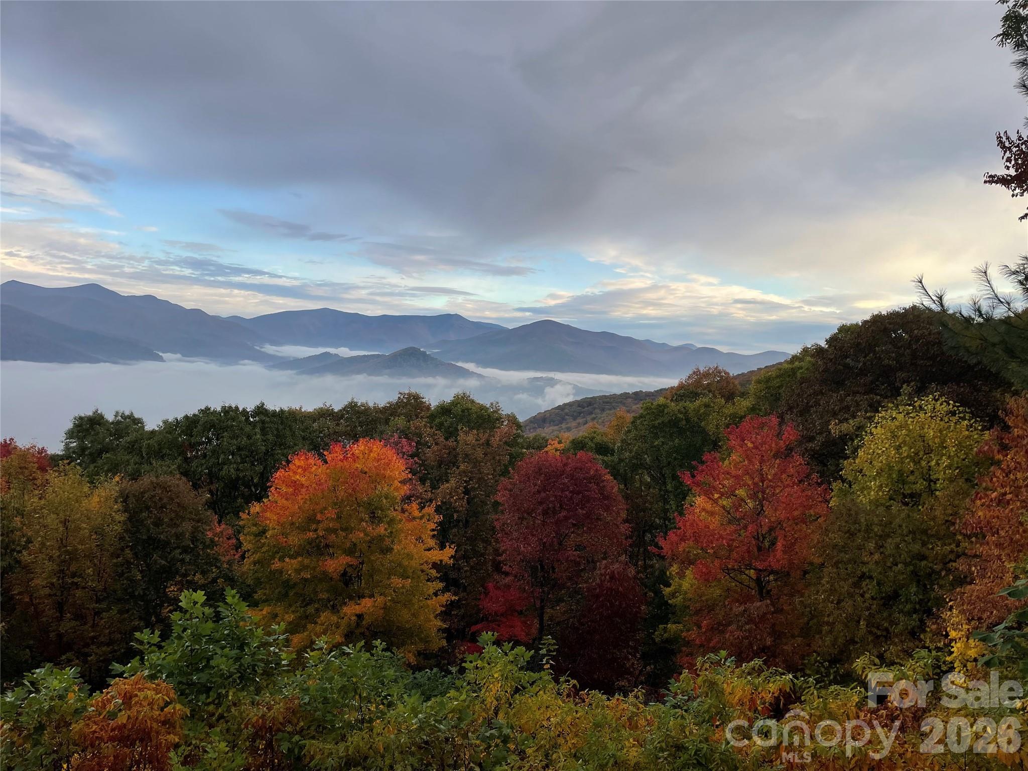 126 Wildflower Cove Drive Swannanoa NC 28778