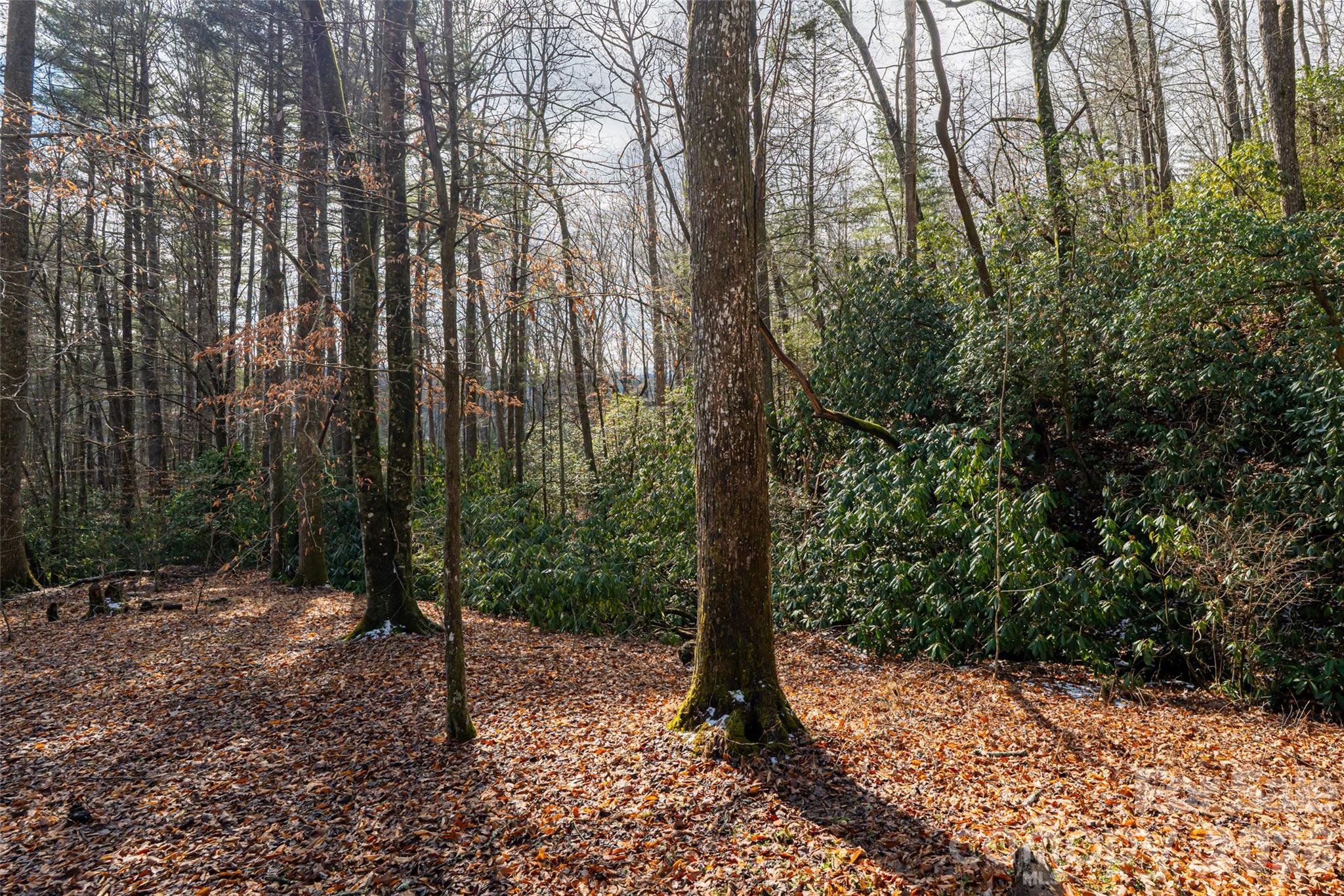 19 Forge Drive Mills River NC 28759