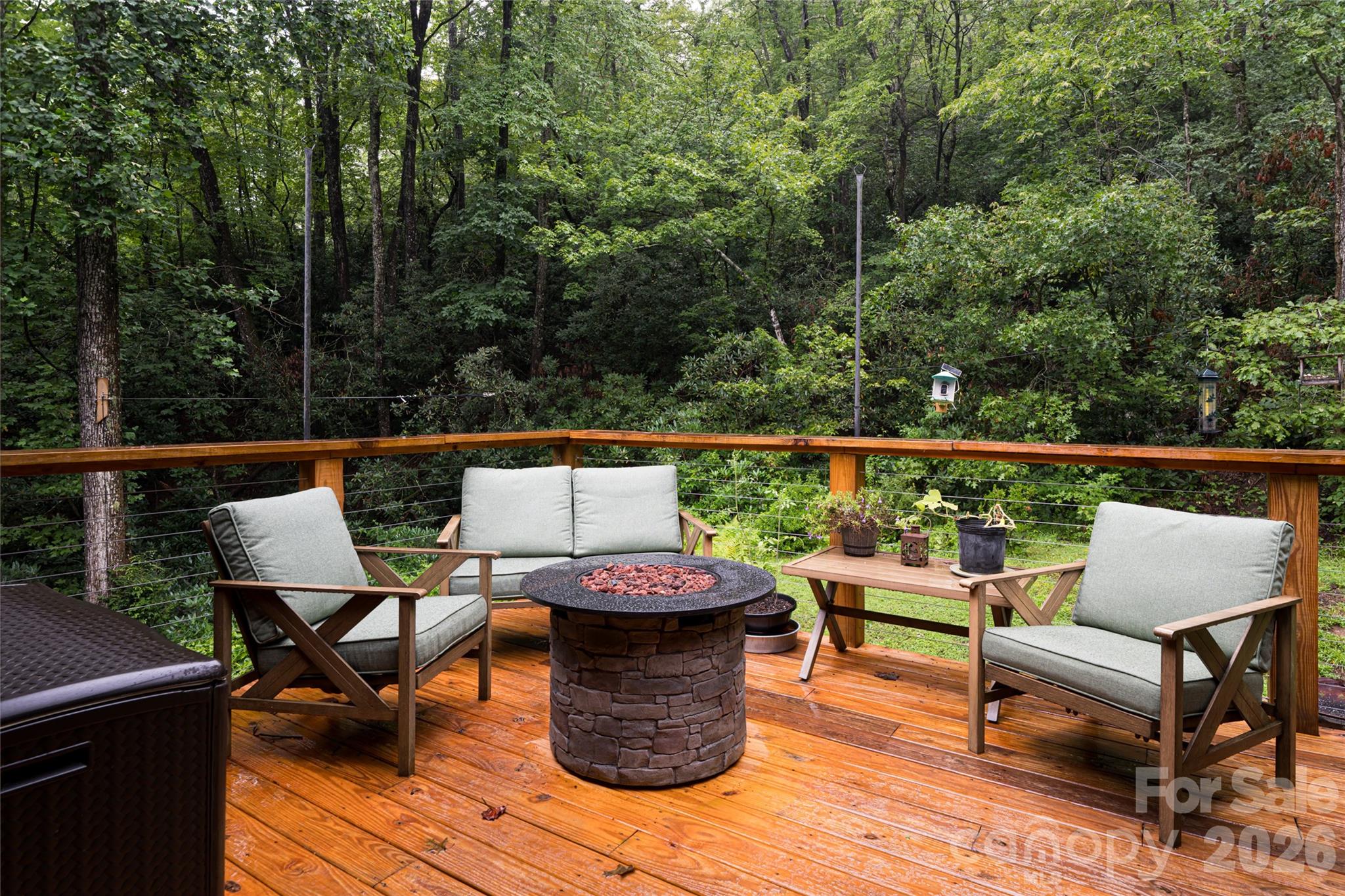19 Forge Drive Mills River NC 28759