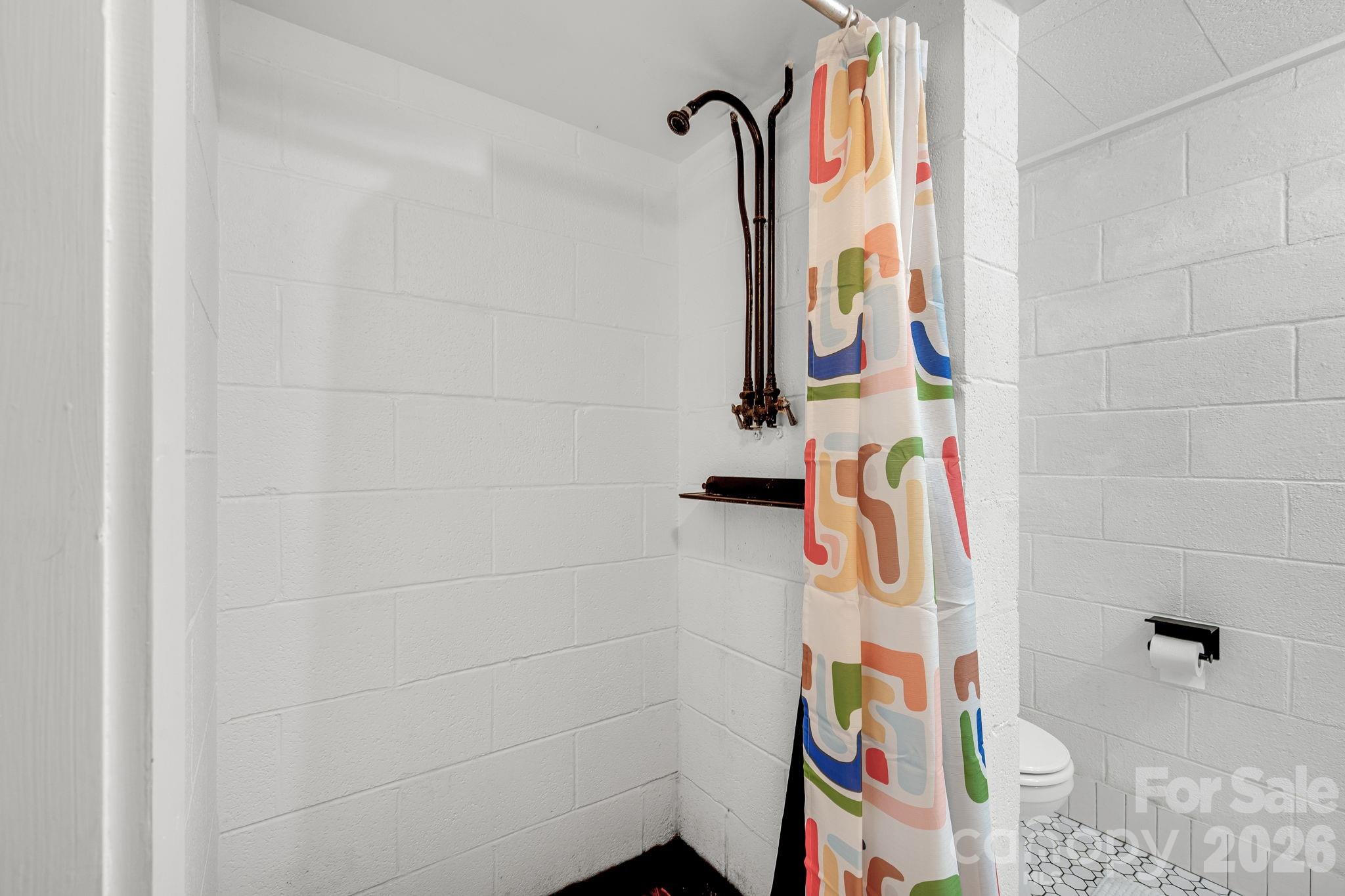 17 Swindale Street Asheville NC 28801