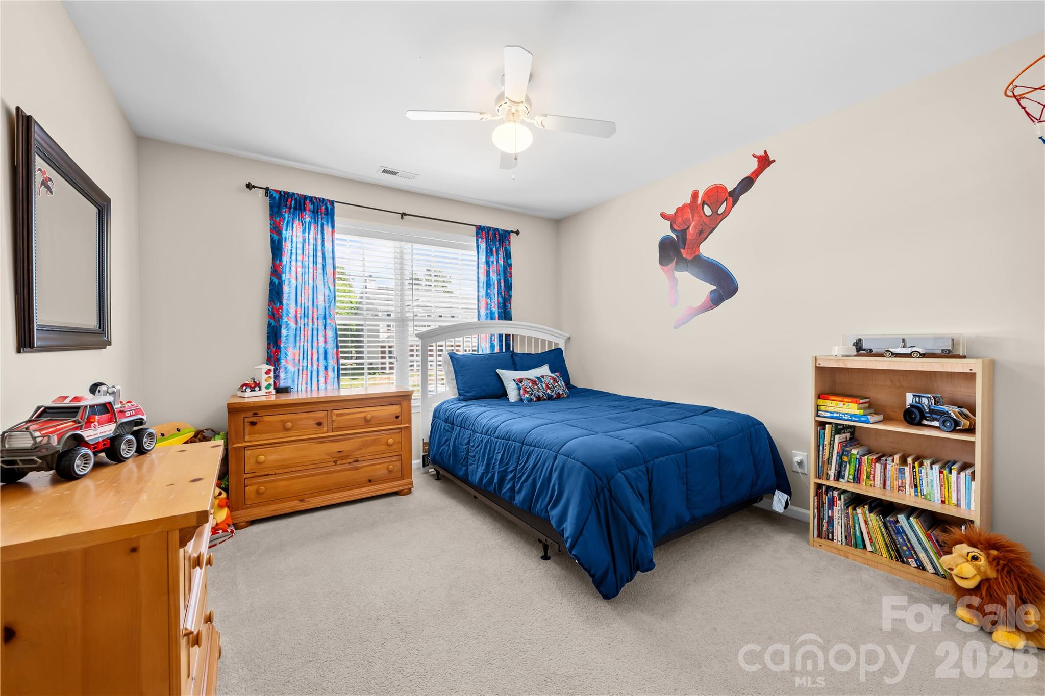 11229 Palomar Mountain Drive Charlotte NC 28278