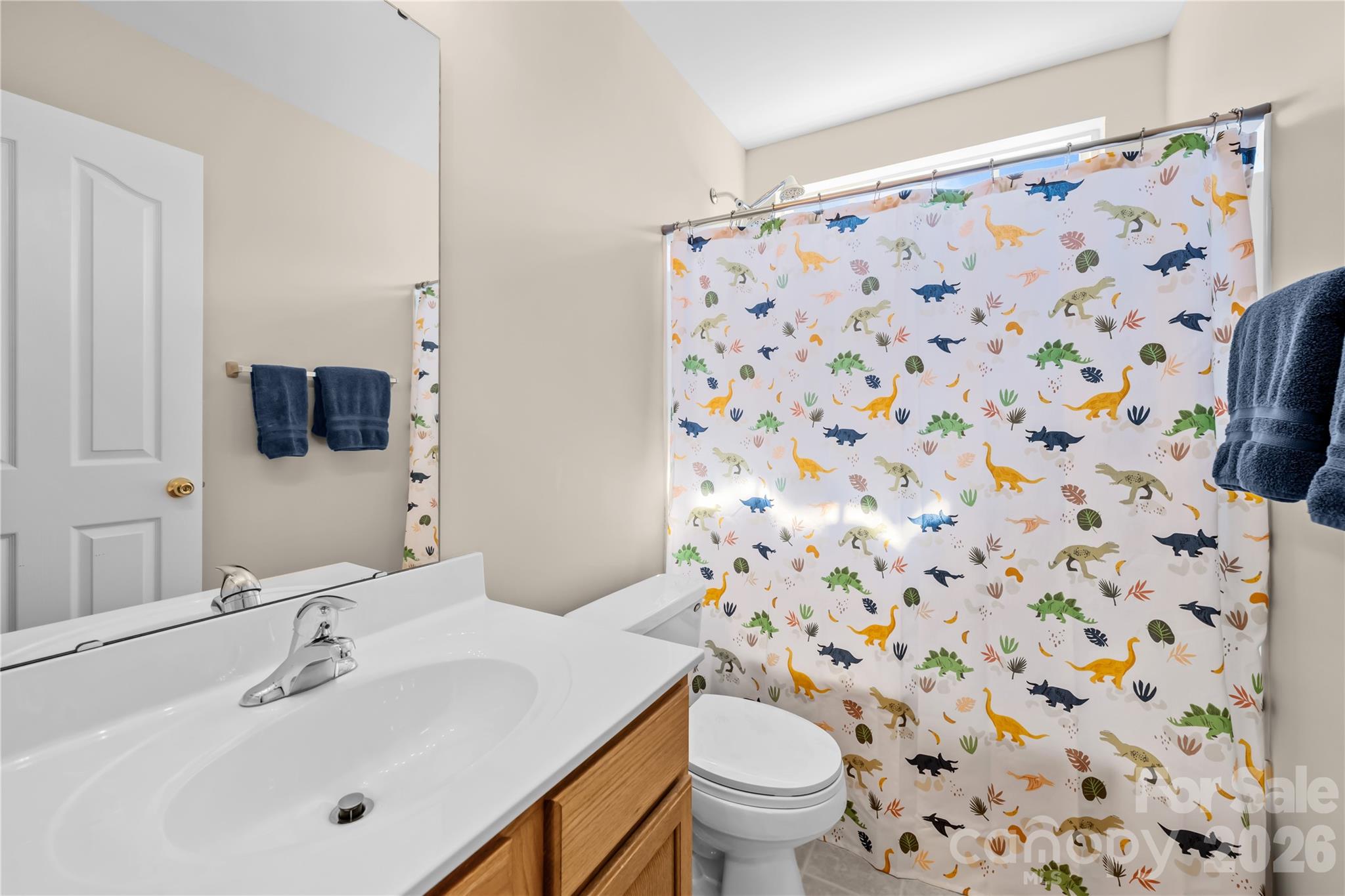 11229 Palomar Mountain Drive Charlotte NC 28278