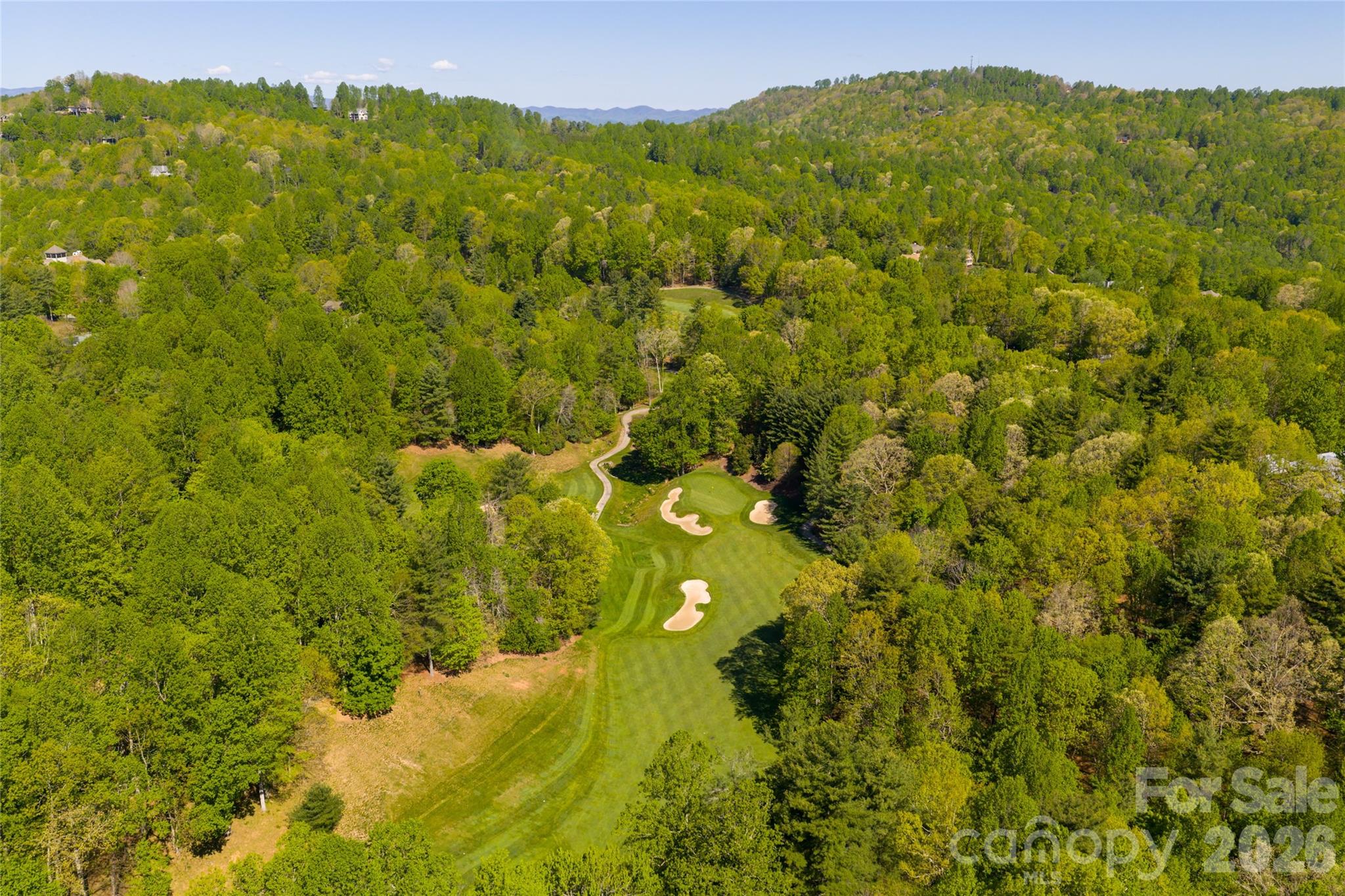 7 Cooper Cove S Hendersonville NC 28739