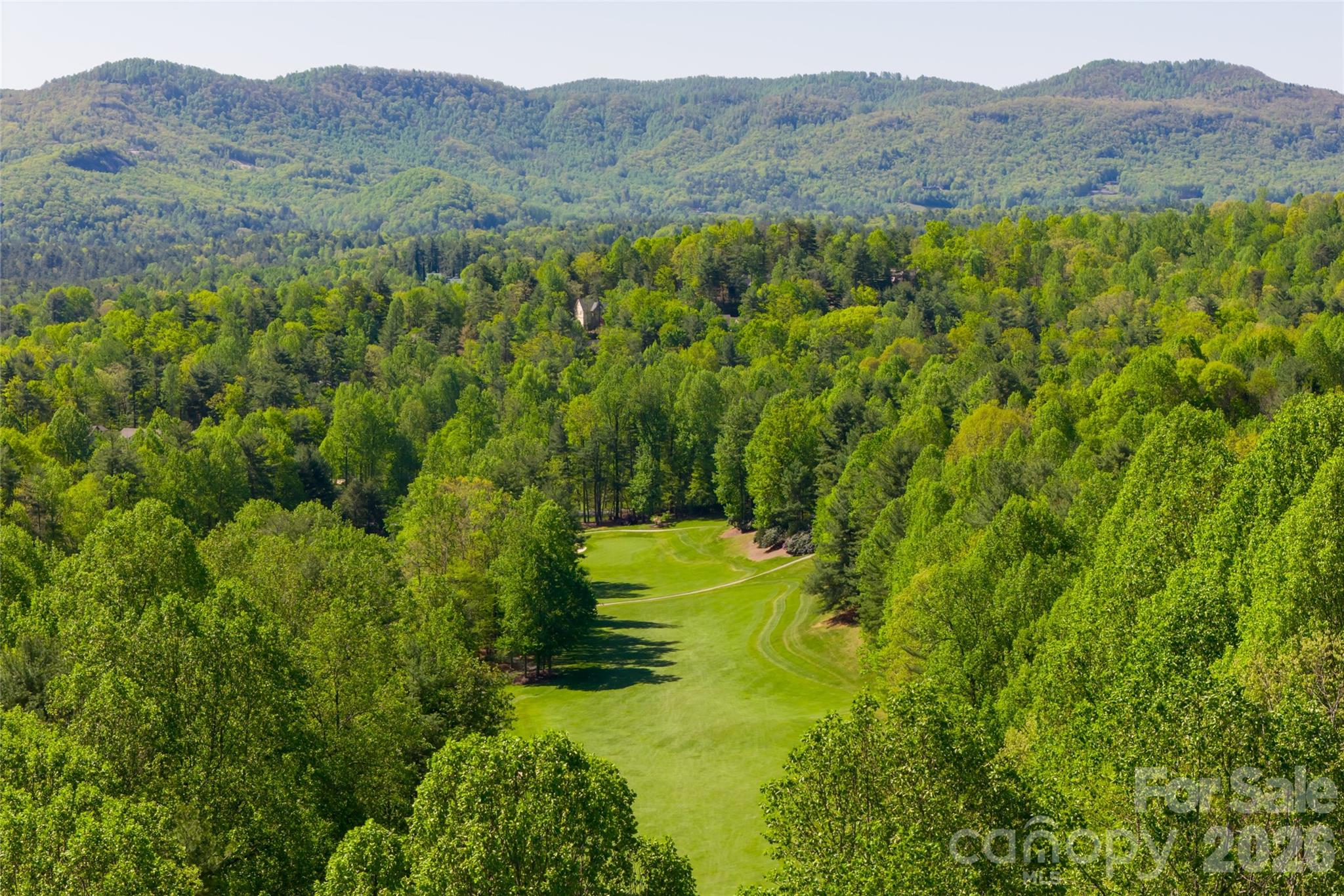 7 Cooper Cove S Hendersonville NC 28739