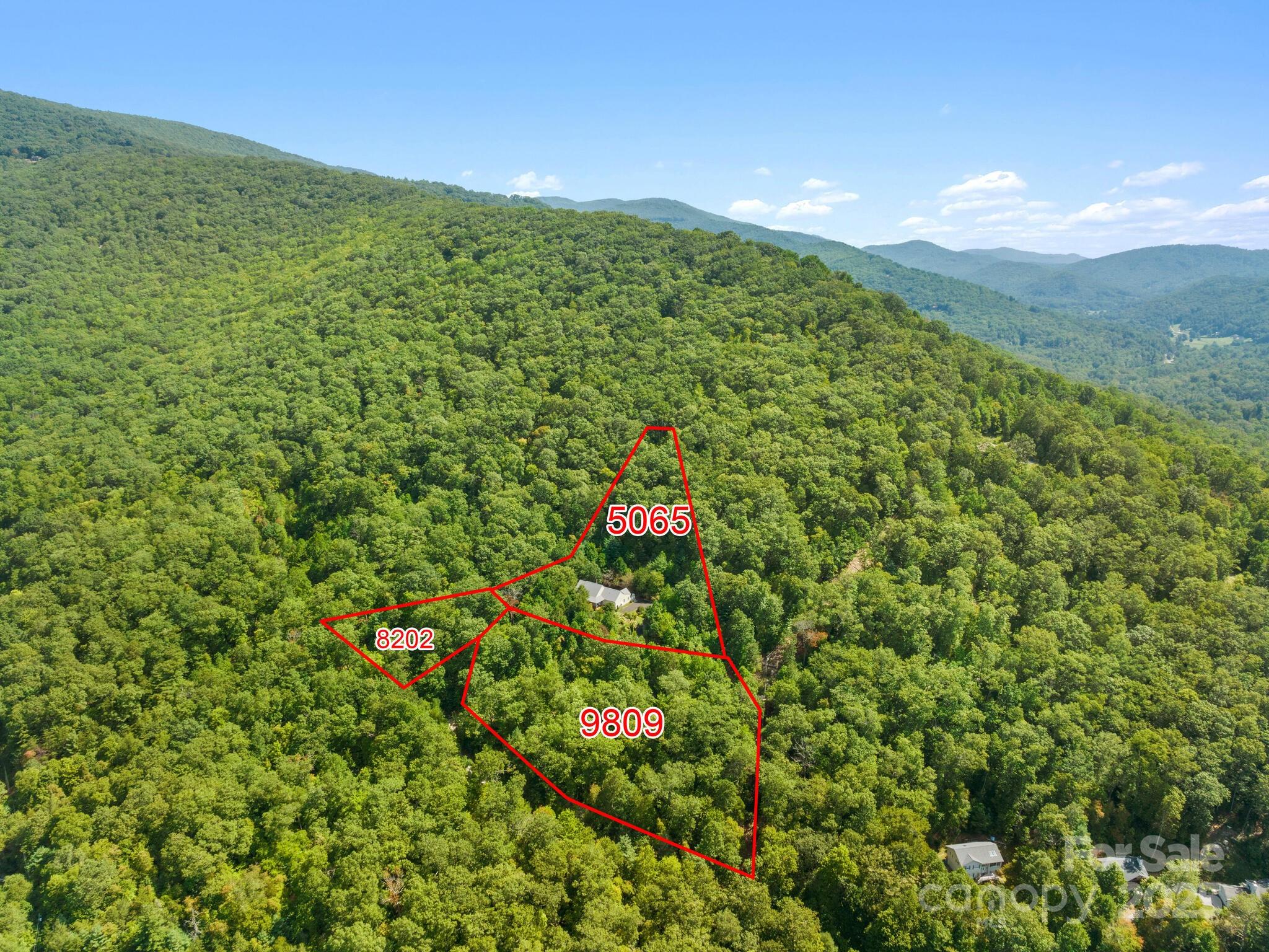 80 Ivy Cove Road Fairview NC 28730