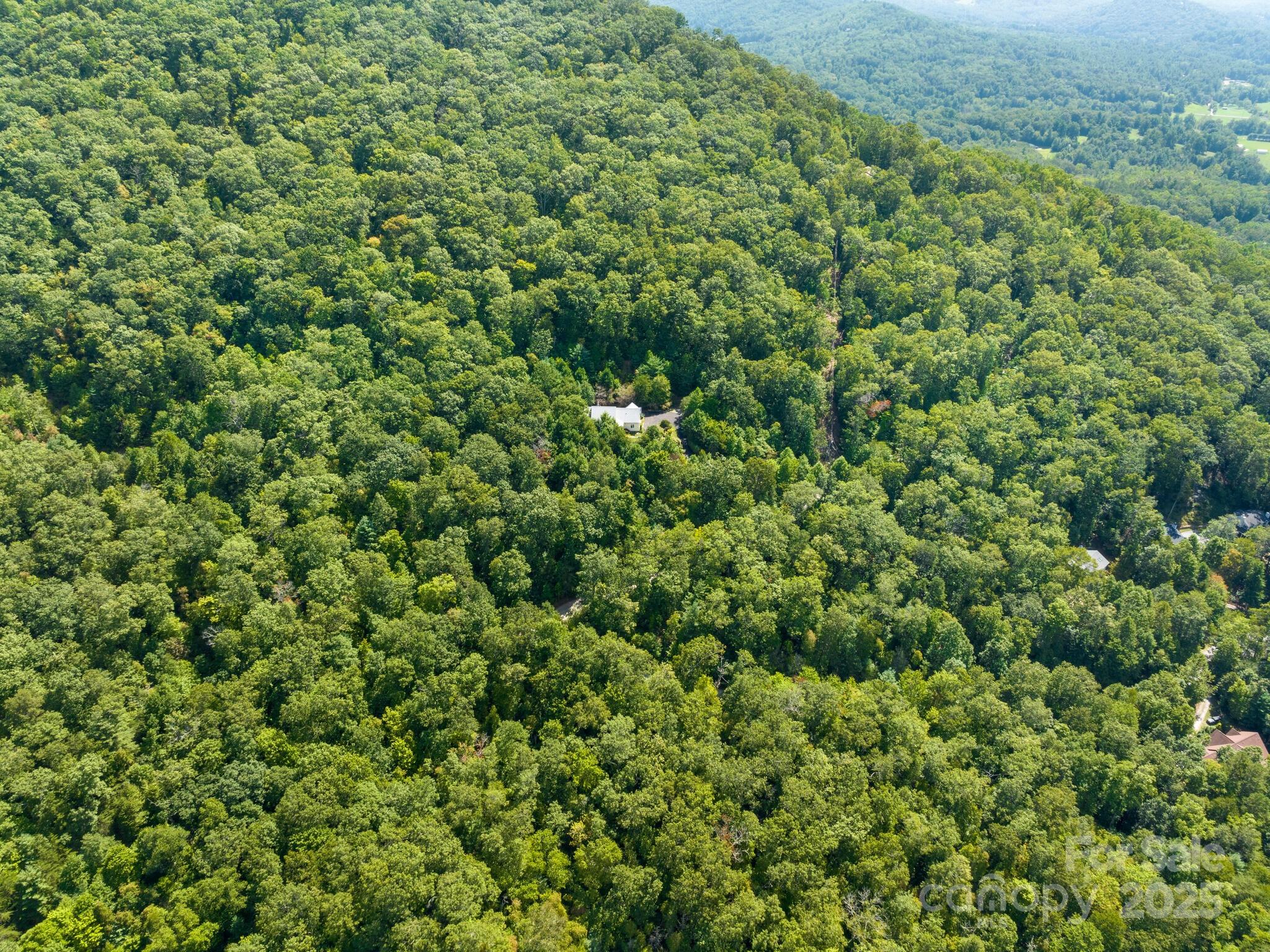 80 Ivy Cove Road Fairview NC 28730