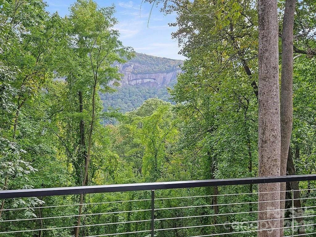 384 Cascada Vista Drive Chimney Rock NC 28720