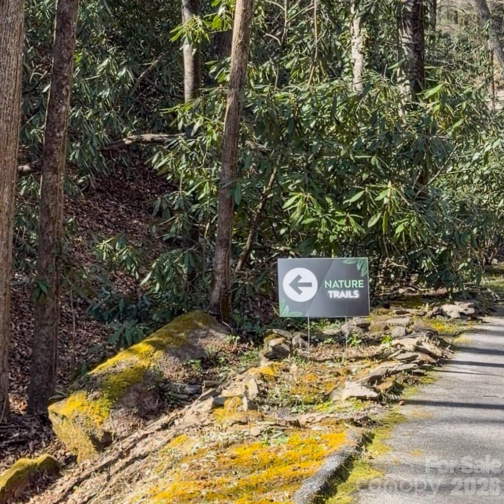 1270 Glen Cannon Drive Pisgah Forest NC 28768