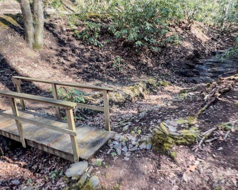 1270 Glen Cannon Drive Pisgah Forest NC 28768