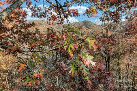 241 Fern Way Black Mountain NC 28711