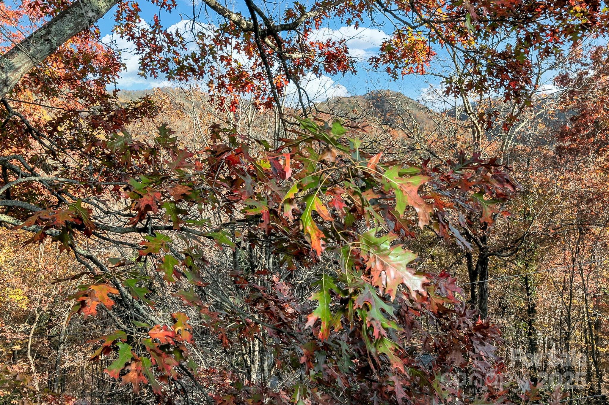 241 Fern Way Black Mountain NC 28711