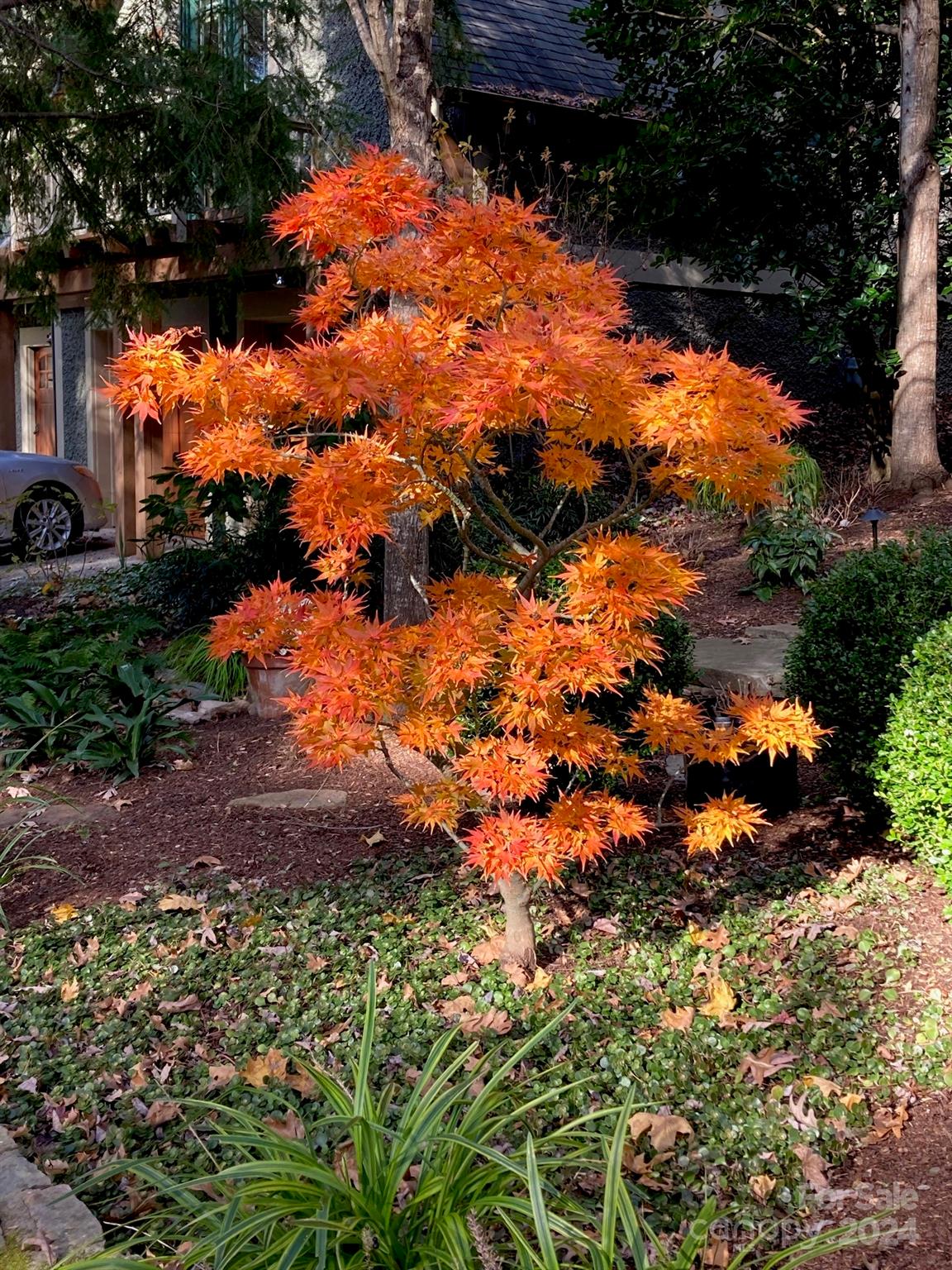 34 Cheshire Drive Black Mountain NC 28711