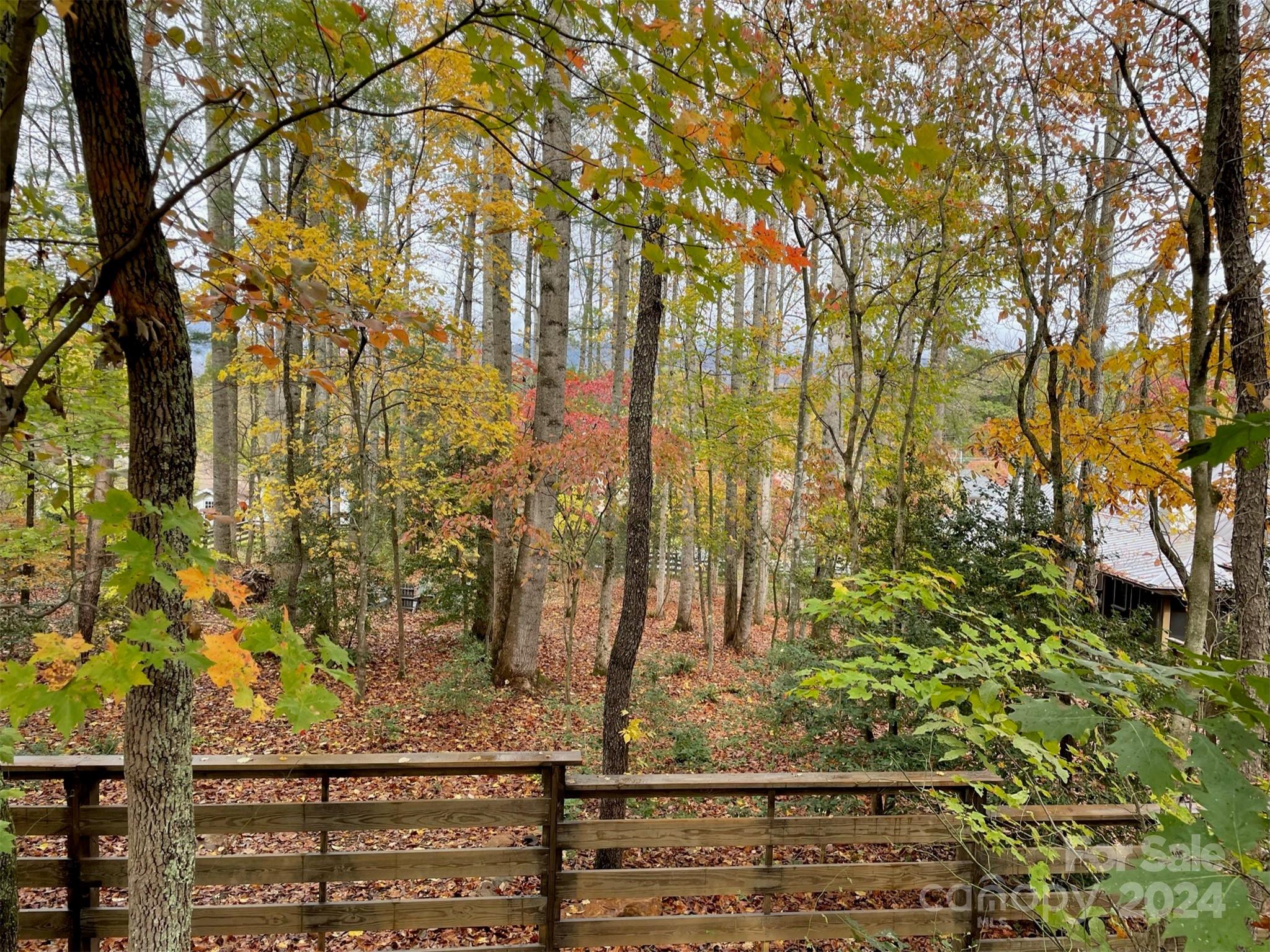 11 Fay Jones Lane Black Mountain NC 28711