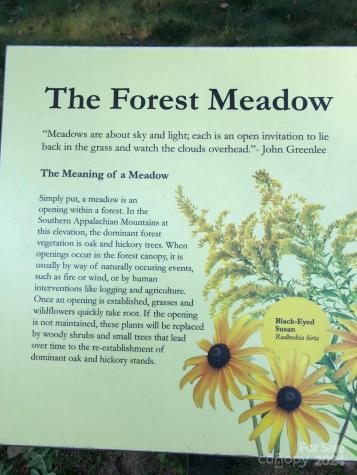 11 Fay Jones Lane Black Mountain NC 28711