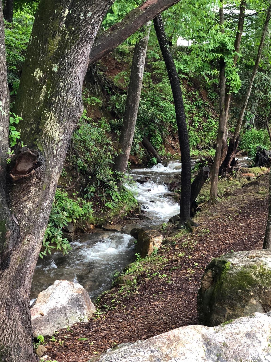 11 Fay Jones Lane Black Mountain NC 28711