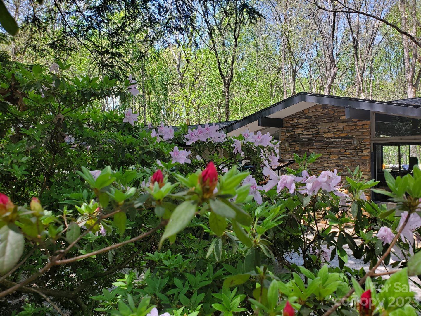 282 Joree Lane Brevard NC 28712