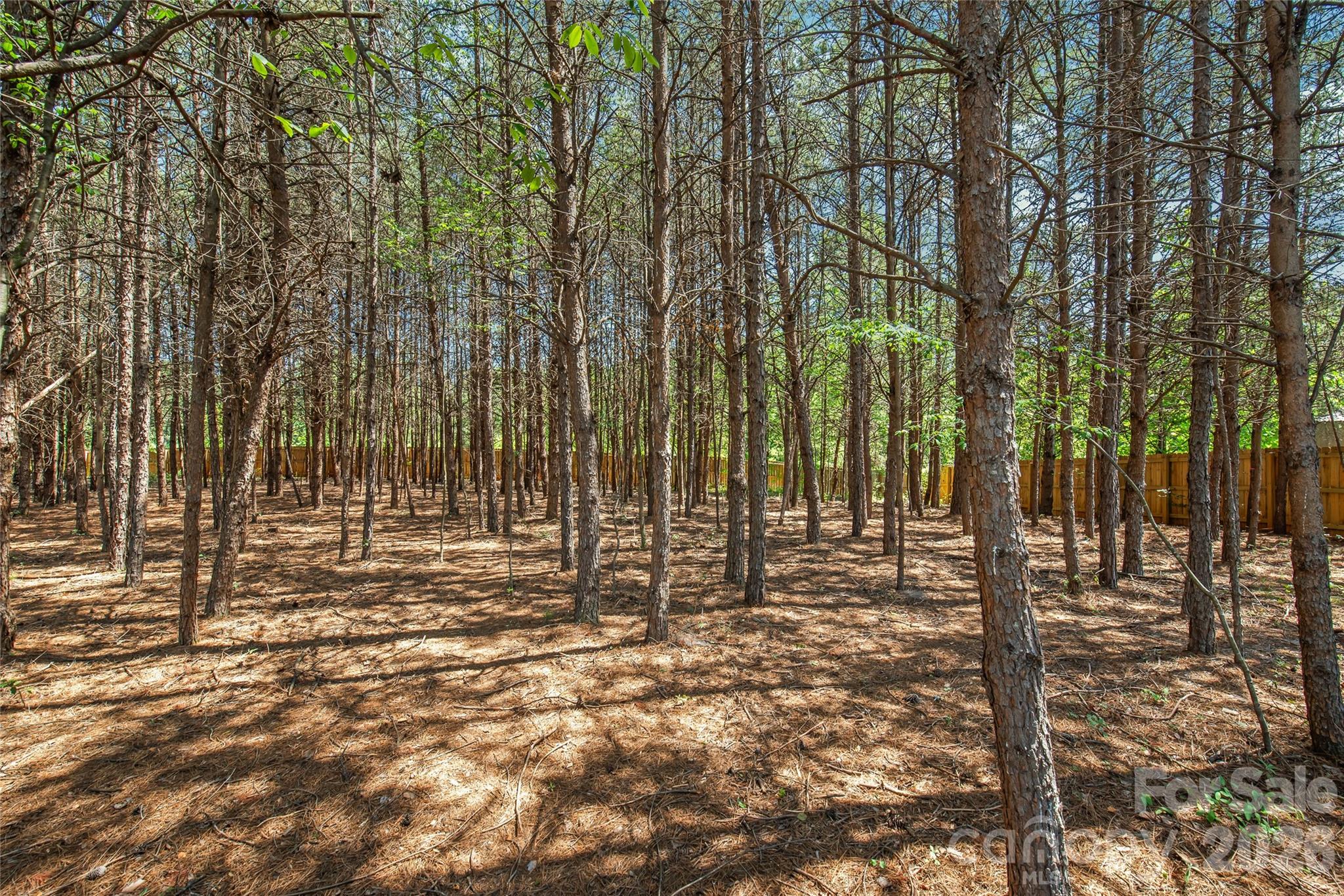 116 Damon Drive Shelby NC 28150
