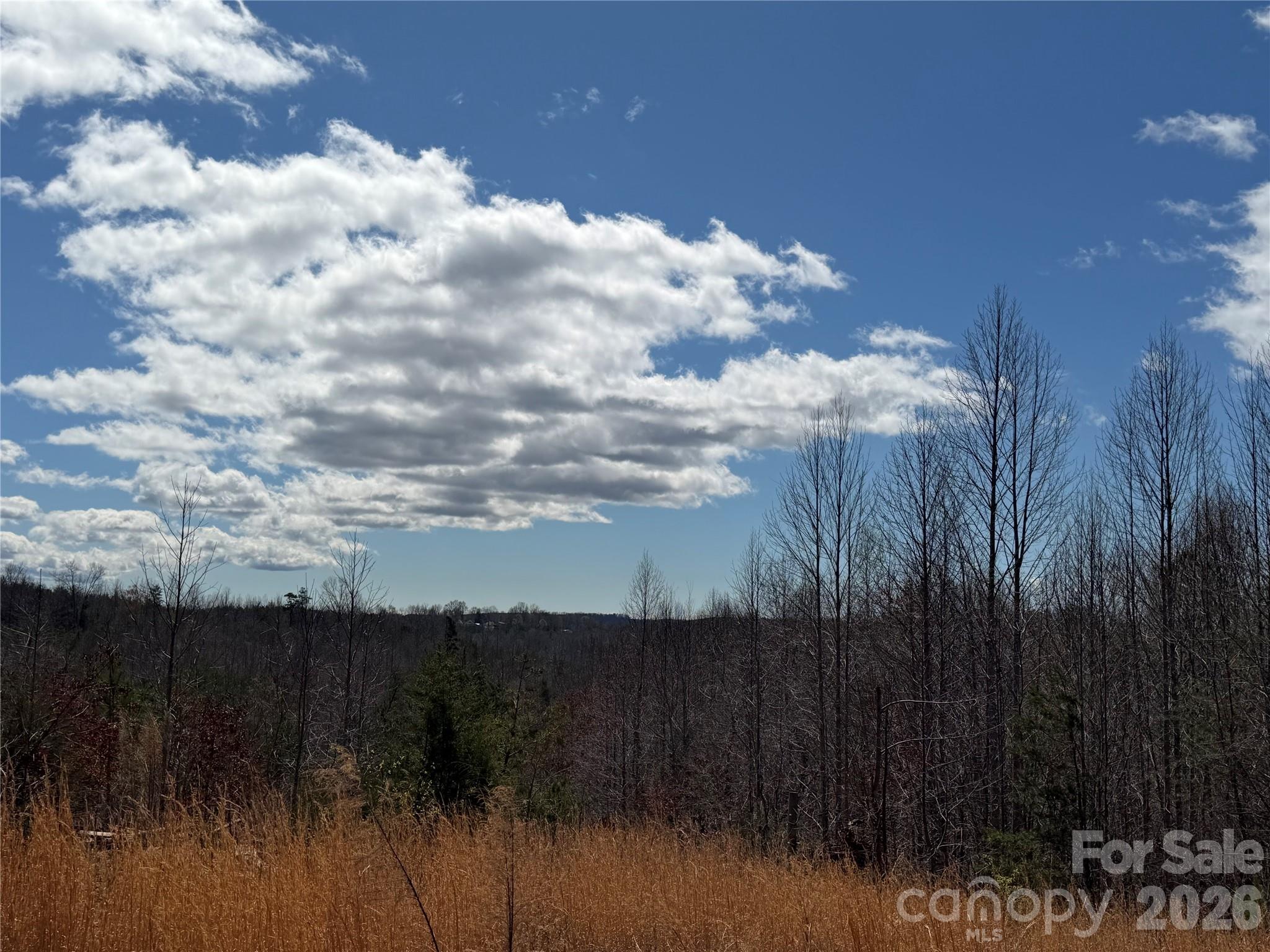 304 Woodview Farm Trail Rutherfordton NC 28139