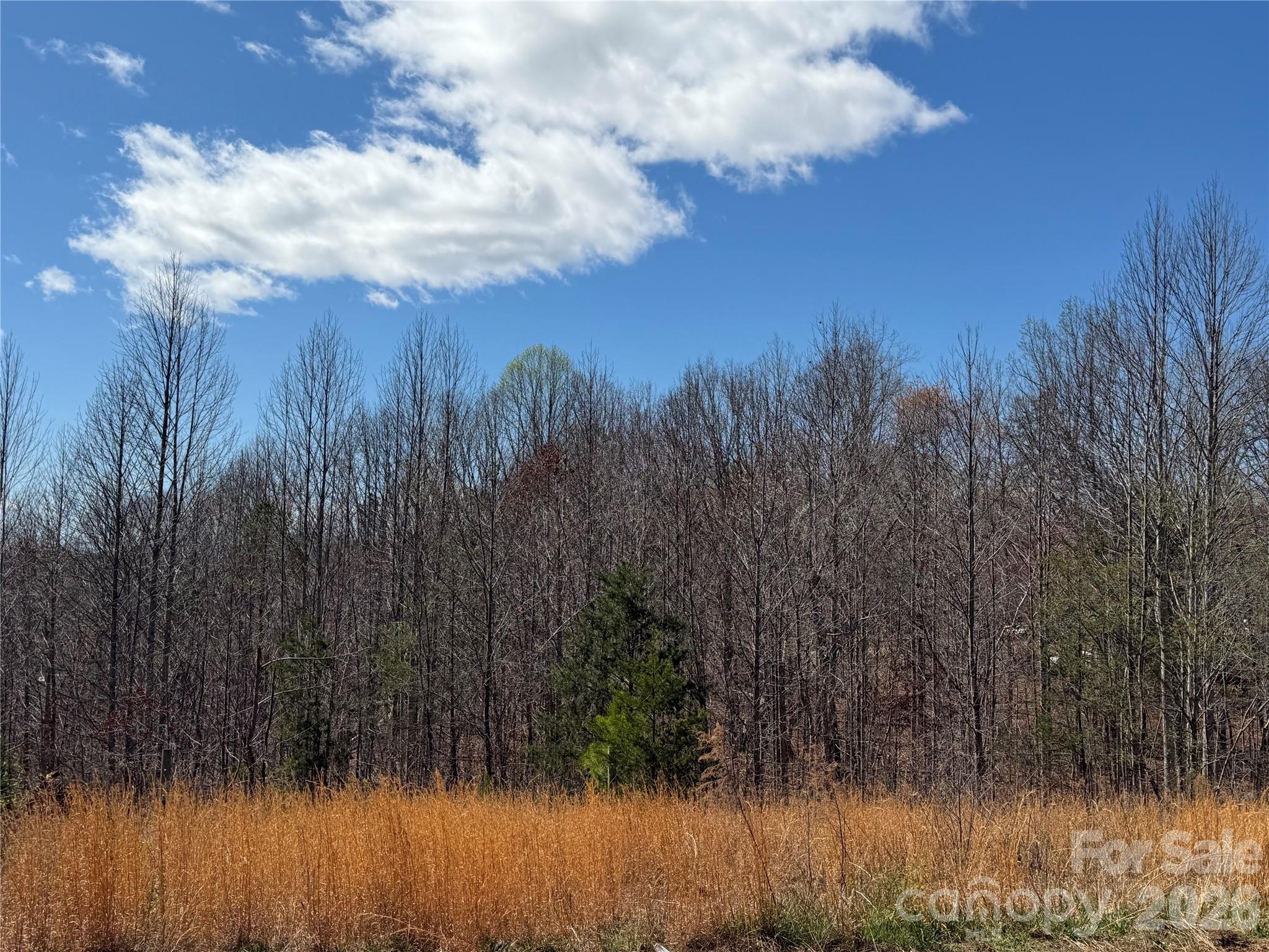 304 Woodview Farm Trail Rutherfordton NC 28139