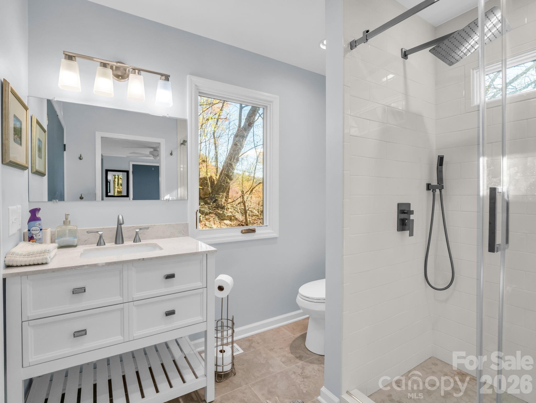 456 Youngs Mountain Drive Lake Lure NC 28746
