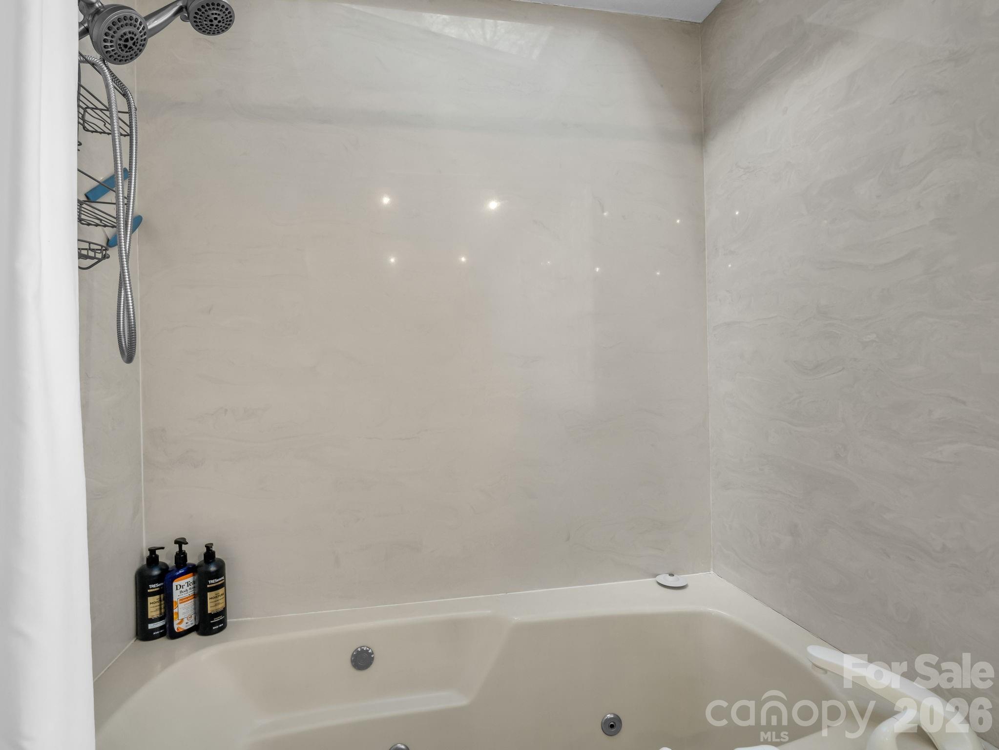 456 Youngs Mountain Drive Lake Lure NC 28746
