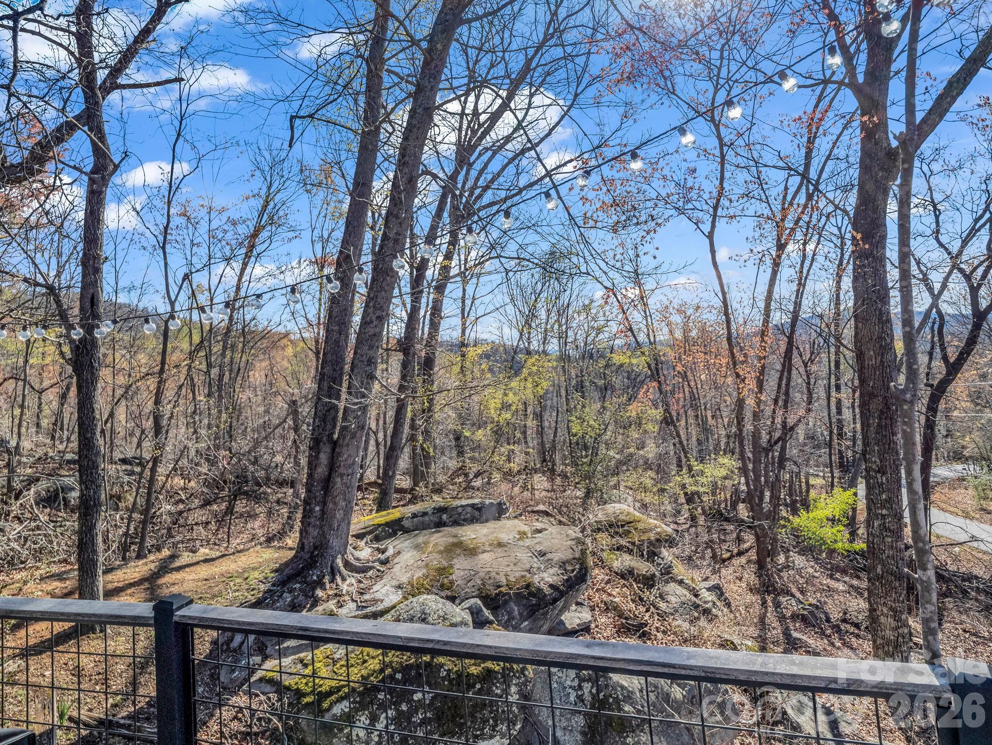 456 Youngs Mountain Drive Lake Lure NC 28746
