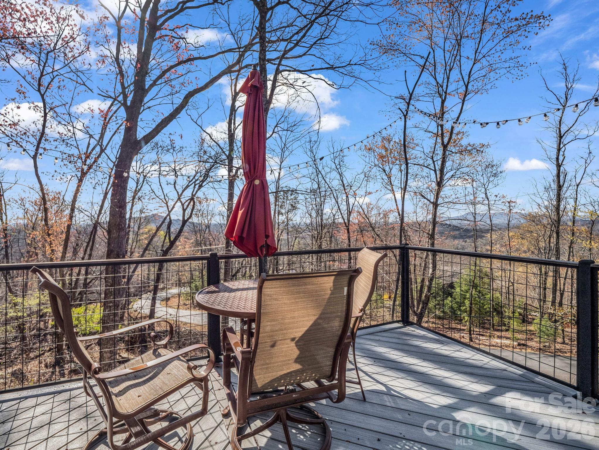456 Youngs Mountain Drive Lake Lure NC 28746