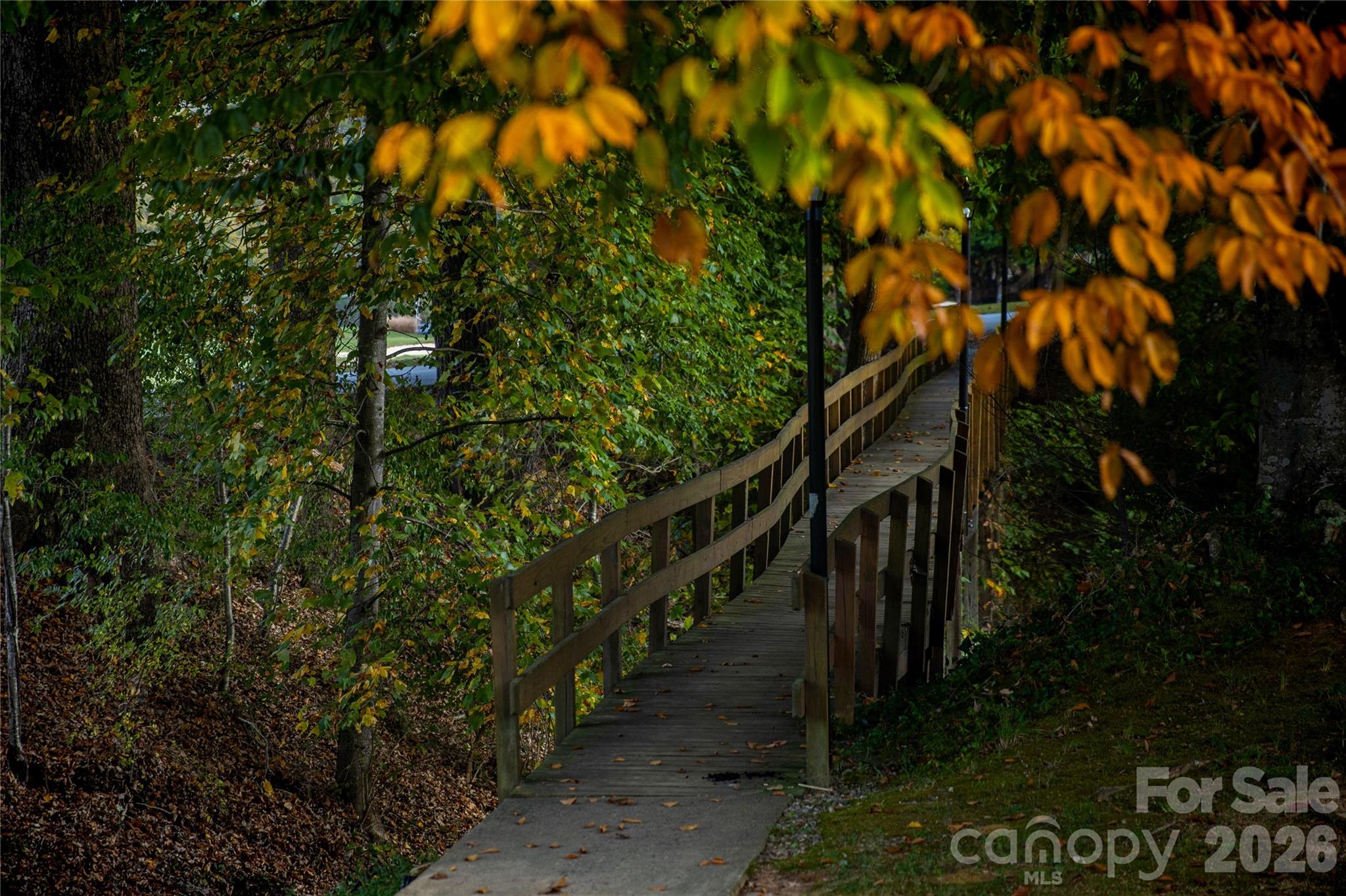 456 Youngs Mountain Drive Lake Lure NC 28746