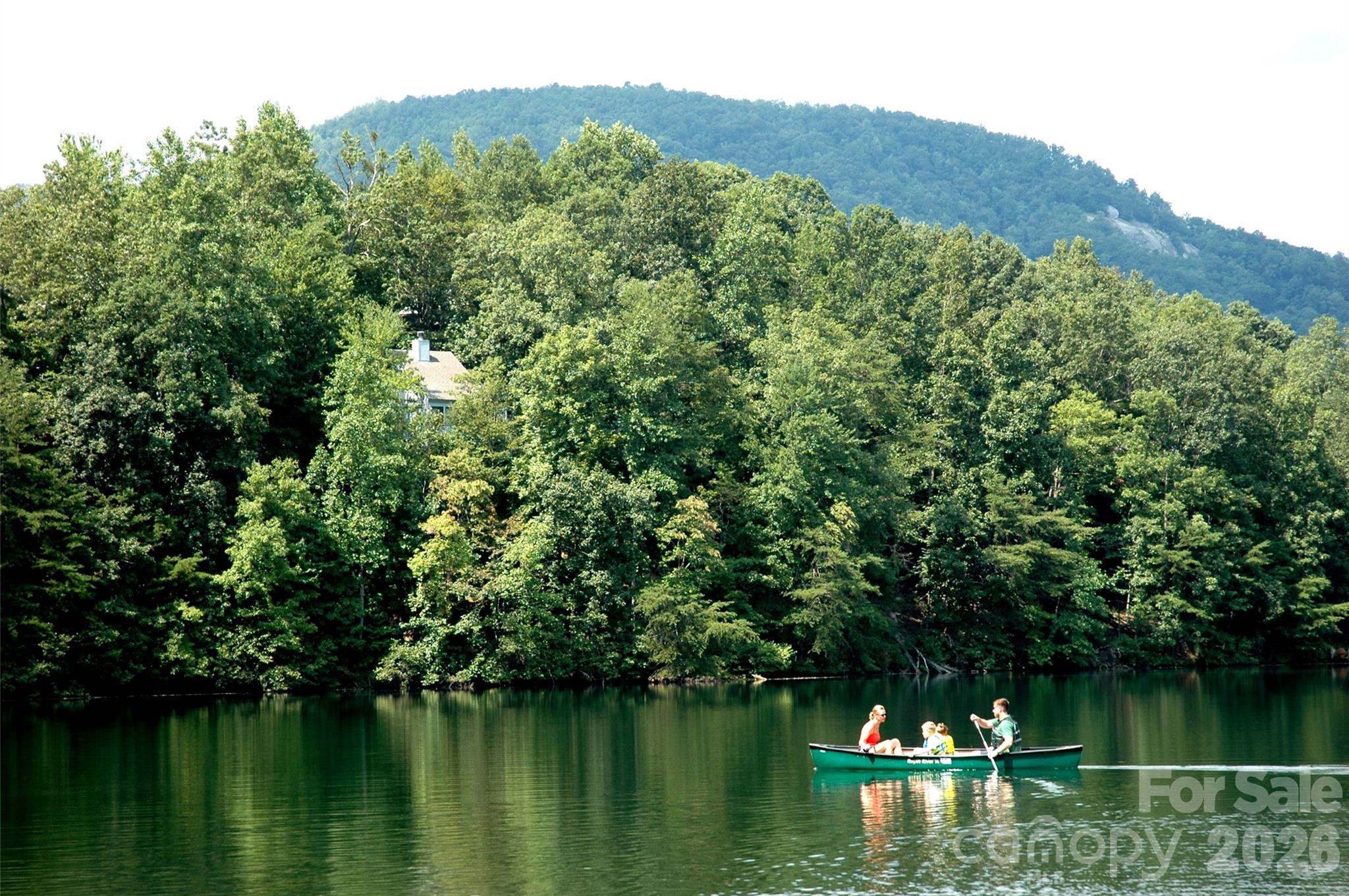 456 Youngs Mountain Drive Lake Lure NC 28746