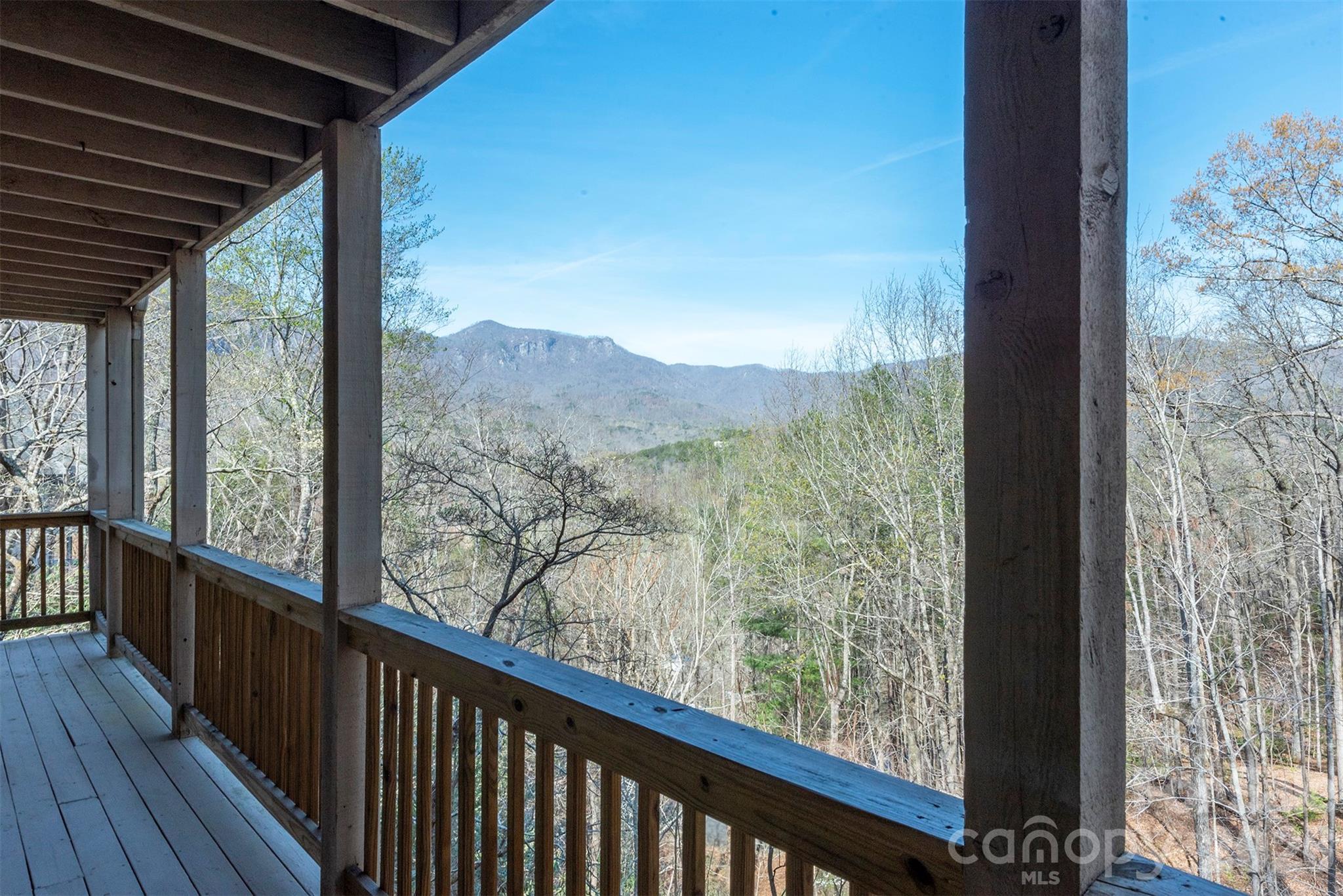 145 White Pine Drive Lake Lure NC 28746