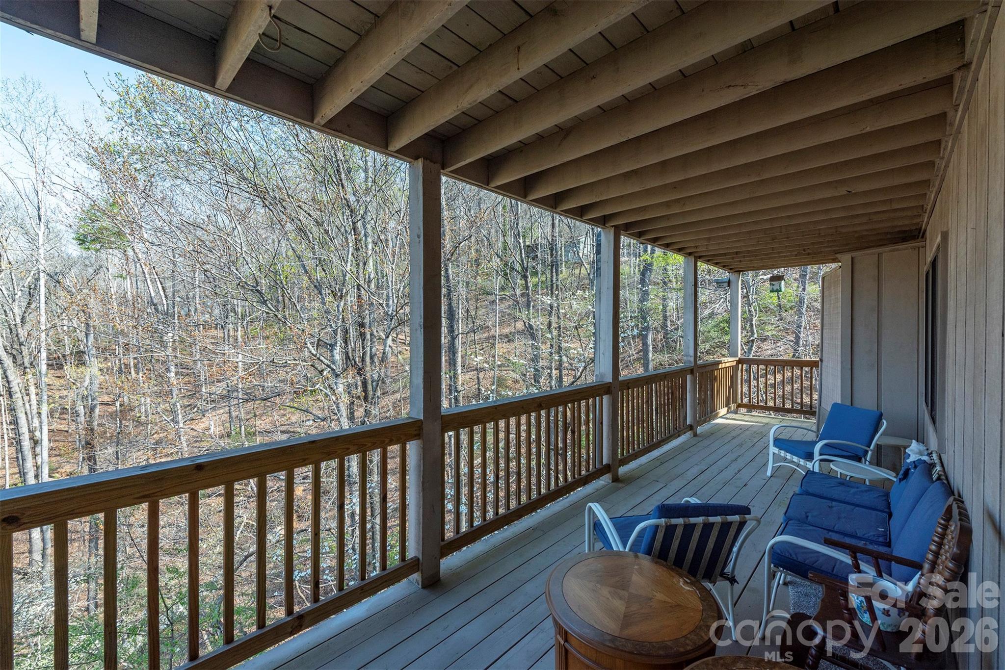 145 White Pine Drive Lake Lure NC 28746
