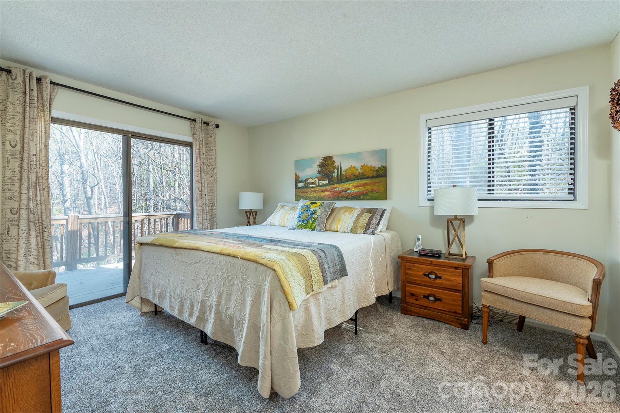 145 White Pine Drive Lake Lure NC 28746