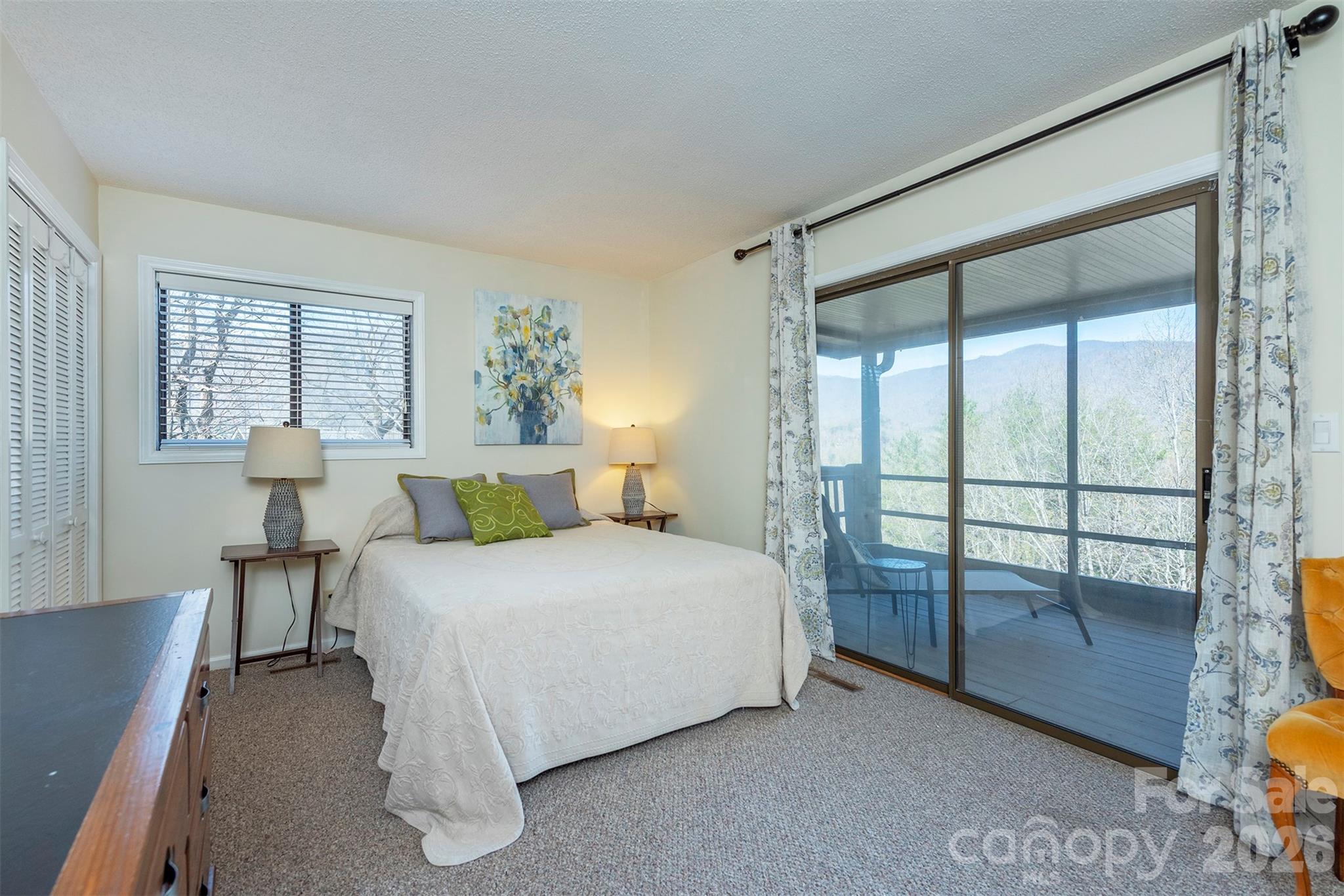 145 White Pine Drive Lake Lure NC 28746