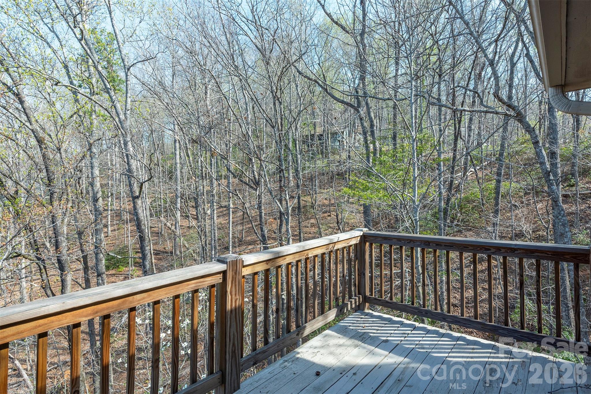 145 White Pine Drive Lake Lure NC 28746