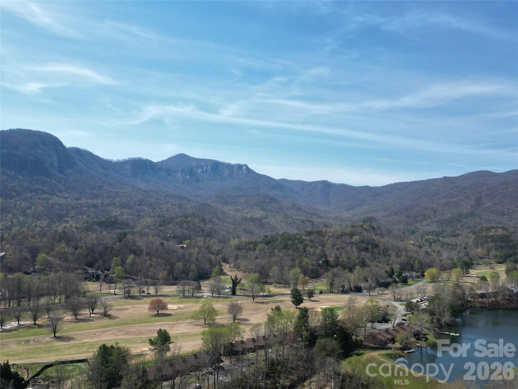 145 White Pine Drive Lake Lure NC 28746
