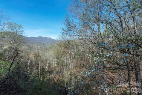 145 White Pine Drive Lake Lure NC 28746