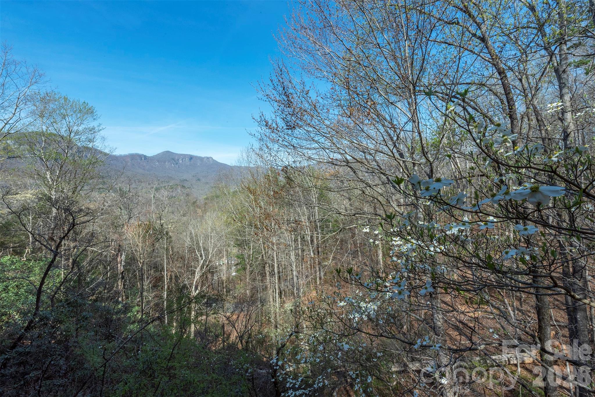 145 White Pine Drive Lake Lure NC 28746