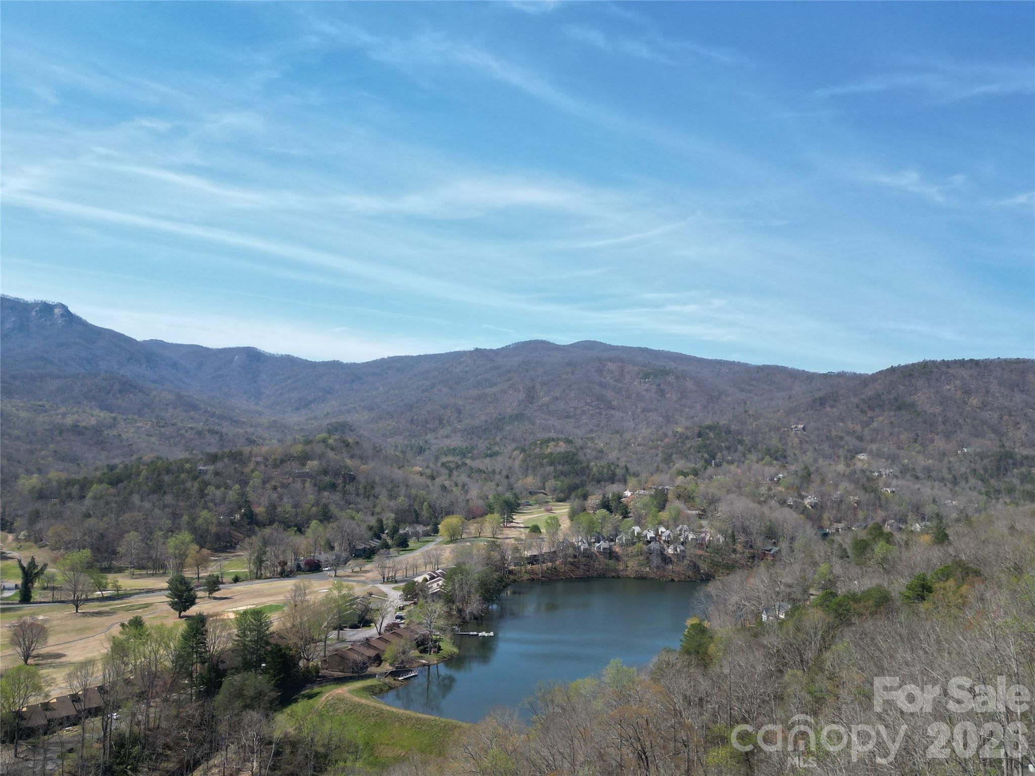 145 White Pine Drive Lake Lure NC 28746