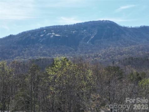 145 White Pine Drive Lake Lure NC 28746