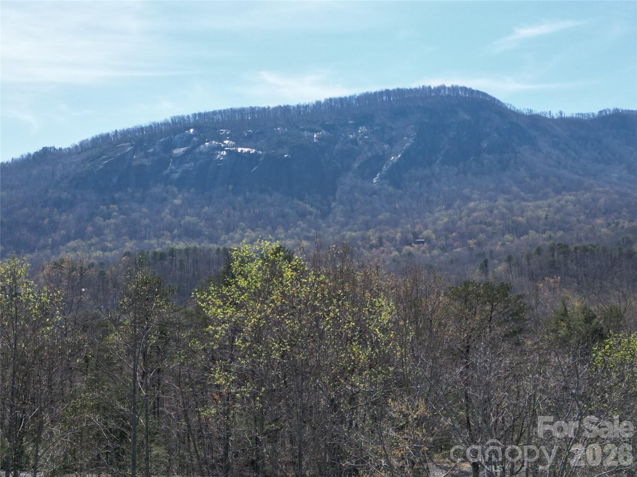 145 White Pine Drive Lake Lure NC 28746