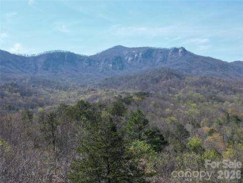 145 White Pine Drive Lake Lure NC 28746