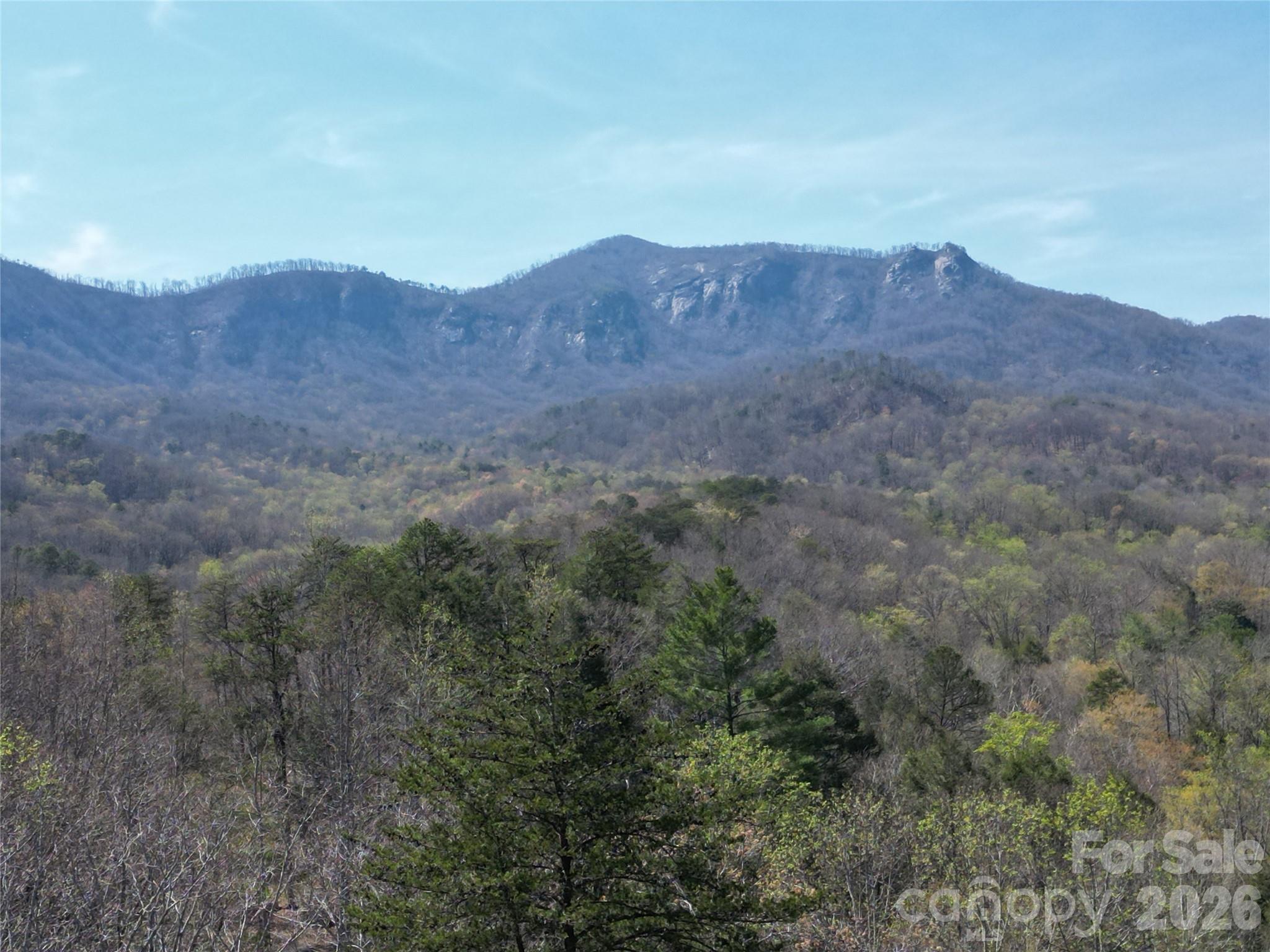 145 White Pine Drive Lake Lure NC 28746