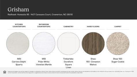 1407 Caracara Court Belmont NC 28012