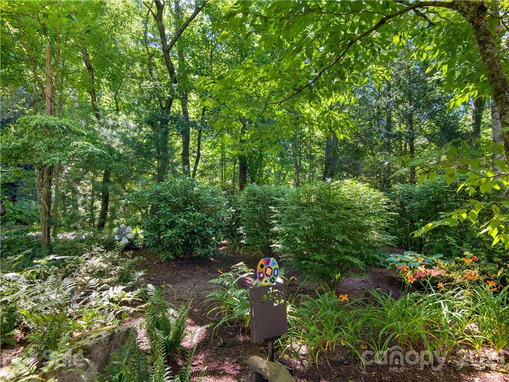 46 Poplar Creek Drive Asheville NC 28805