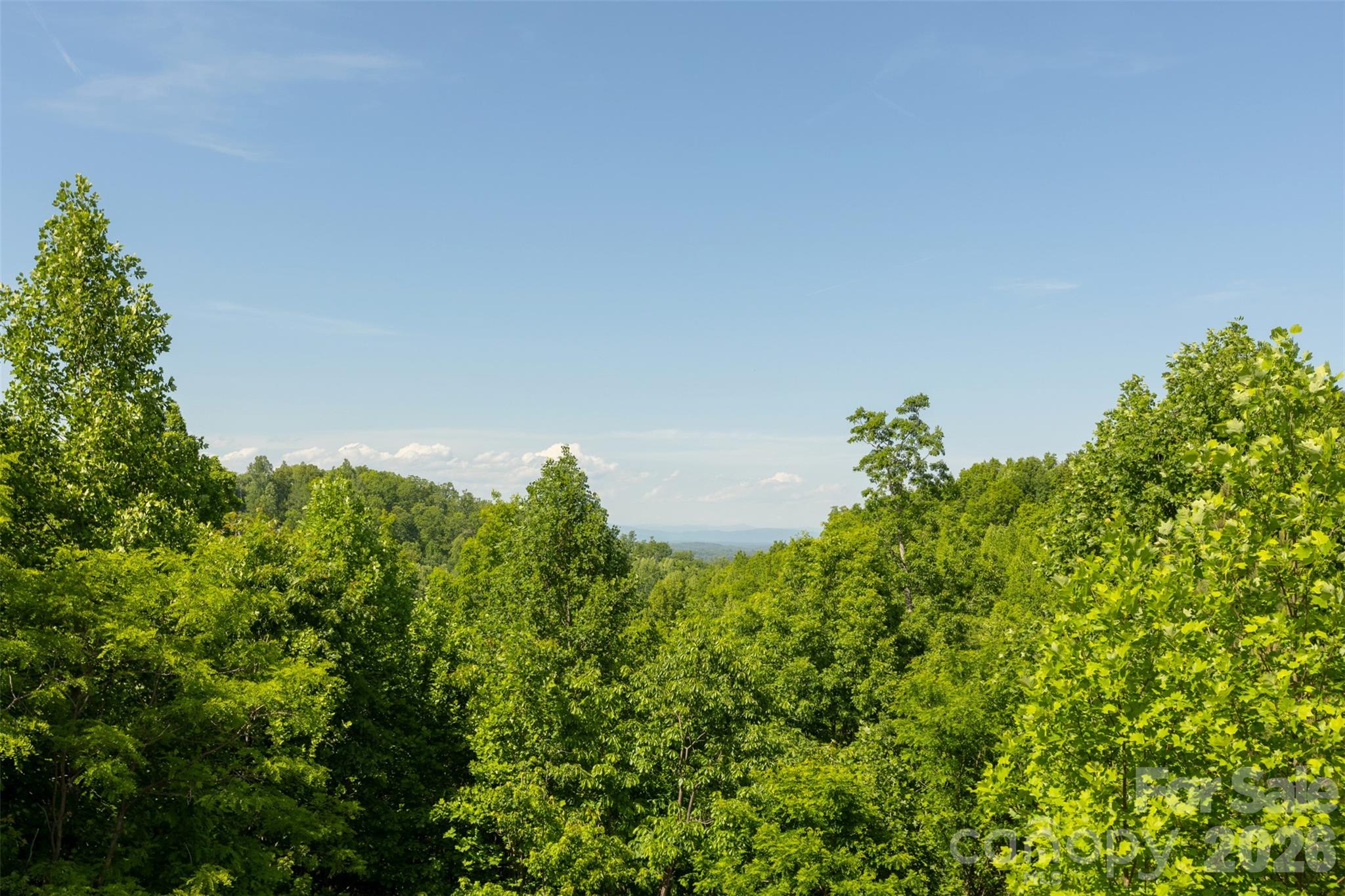 170 Summit Drive Nebo NC 28761