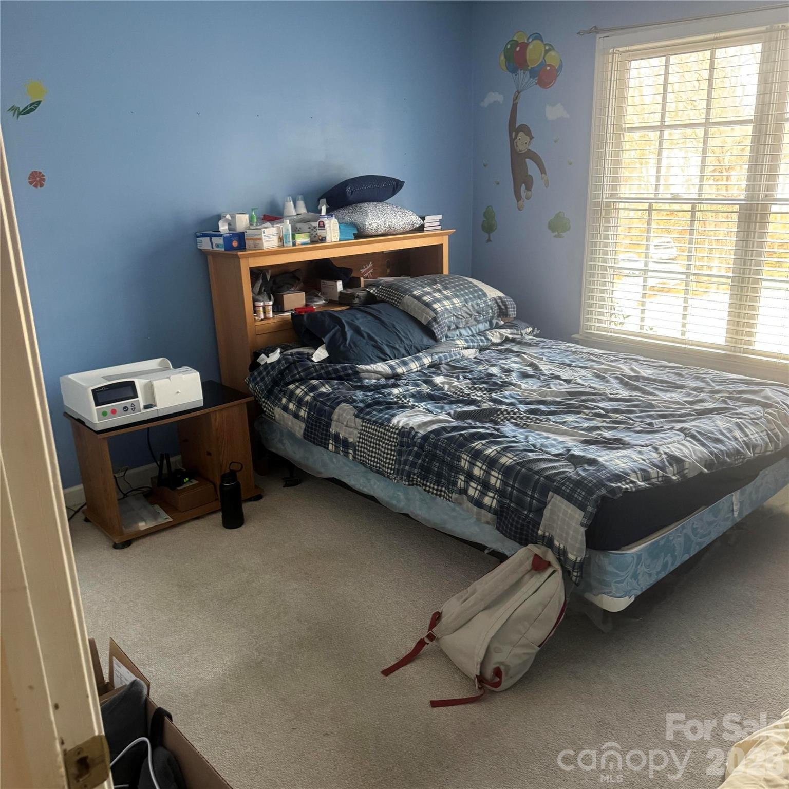 8010 Painted Pony Court Charlotte NC 28269