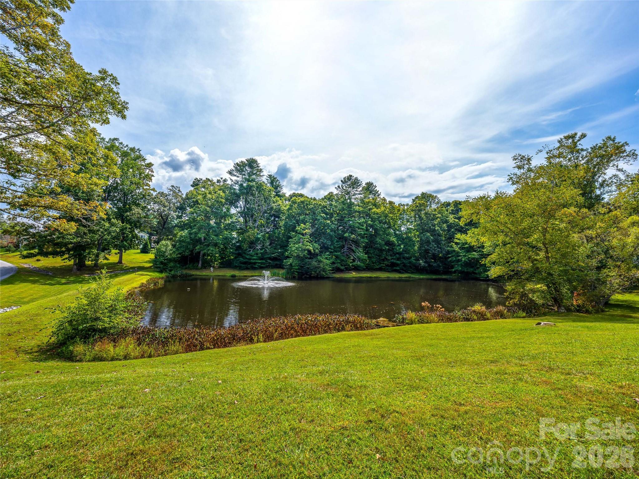 83 Farm Lane Mills River NC 28759