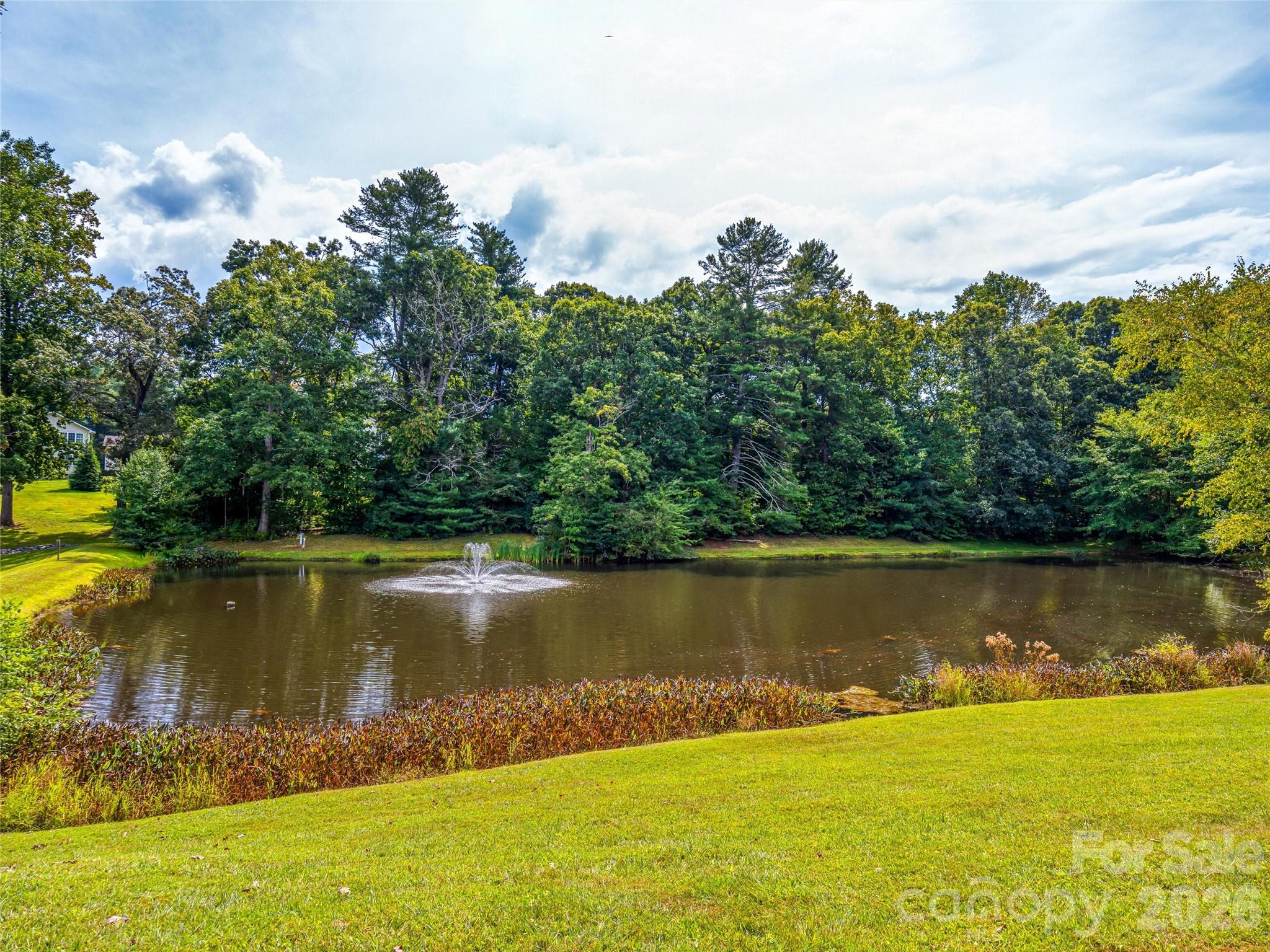 83 Farm Lane Mills River NC 28759