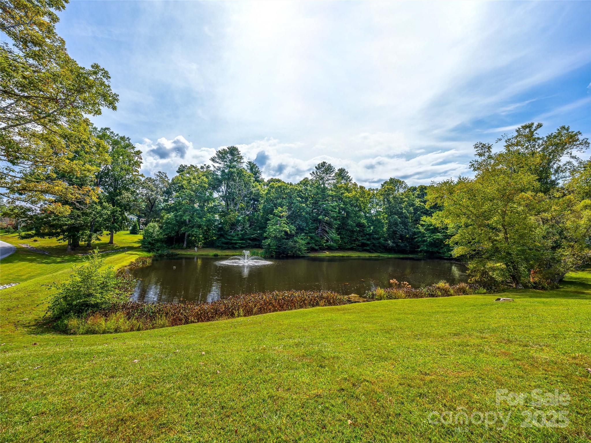 83 Farm Lane Mills River NC 28759